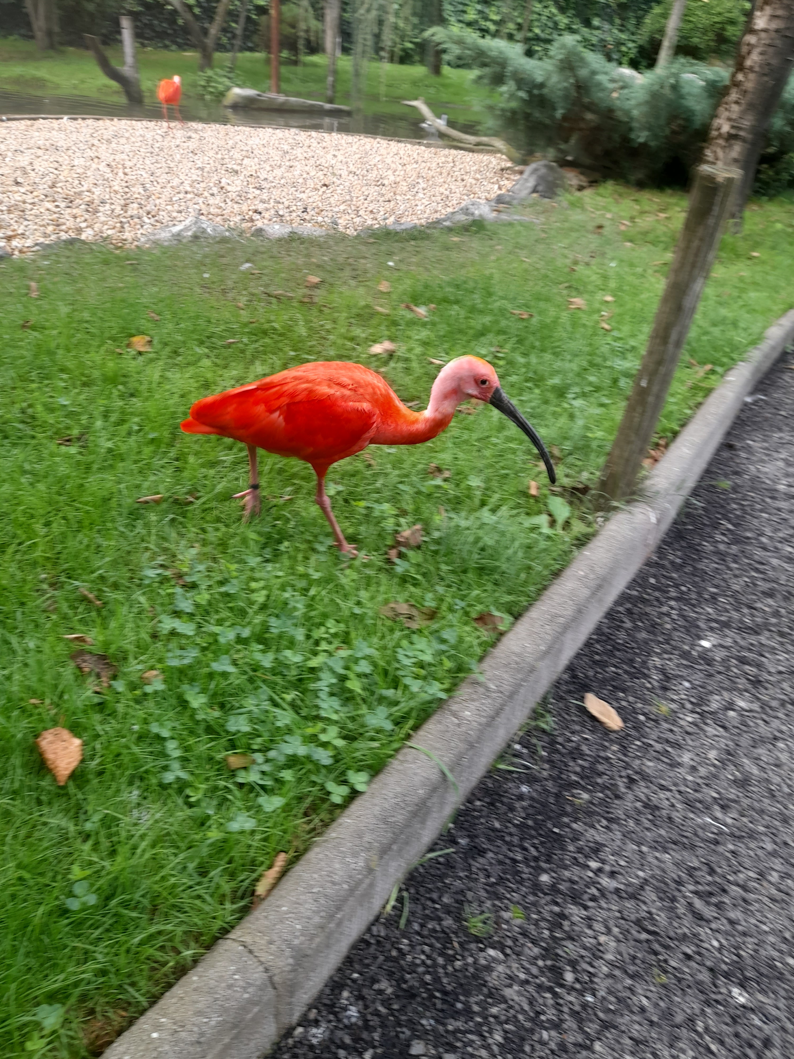 Photo n° 4 de l'avis de bouffletz.e fait le 08/09/2023 à 21:43