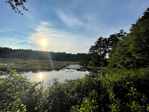 State Park «Myles Standish State Forest», reviews and photos, 194 Cranberry Rd, Carver, MA 02330, USA