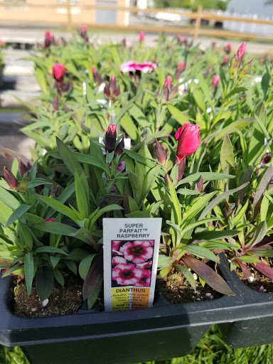 Florist «Lyndhurst Florist», reviews and photos, 5268 Mayfield Rd, Lyndhurst, OH 44124, USA