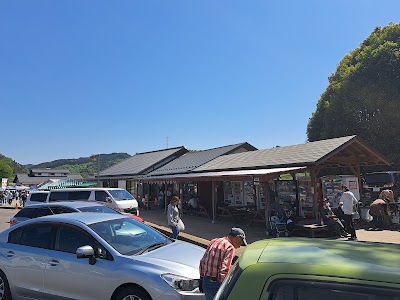 道の駅東山道伊王野菜の花畑