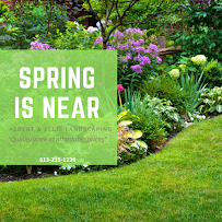 Albert & Ellis Landscaping & Tree Service