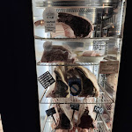 Photo n°6 de l'avis de Claudio.o fait le 02/02/2022 à 21:45 sur le  L’Artigiano in Salice à Rivanazzano Terme