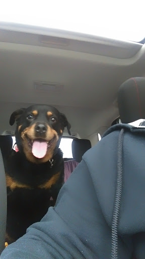 Pet Supply Store «Pet Food Warehouse, Ltd.», reviews and photos, 2455 Shelburne Rd, Shelburne, VT 05482, USA