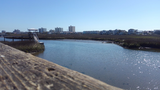 Park «Sanford D. Cox, Sr. Community Park», reviews and photos, 470 Elizabeth Dr, Murrells Inlet, SC 29576, USA