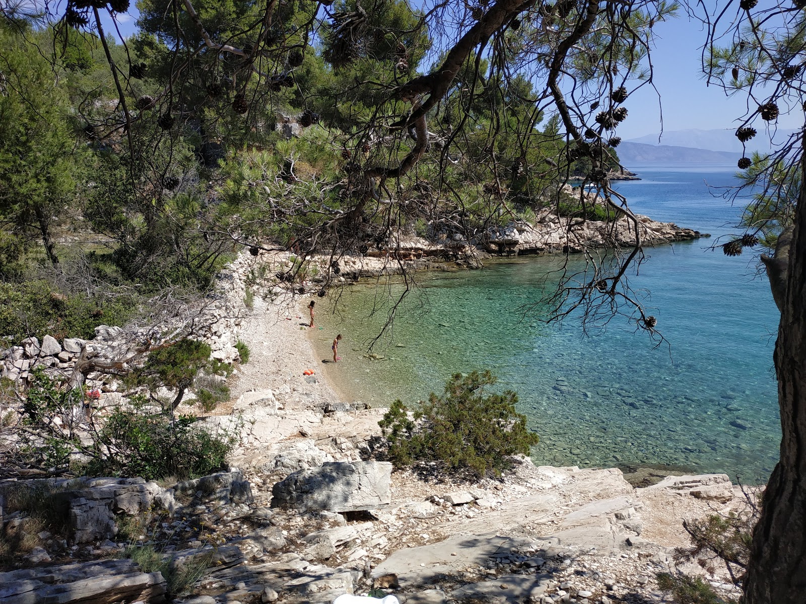 Maslinica beach的照片 带有碧绿色纯水表面
