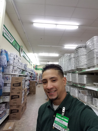 Dollar Store «Dollar Tree», reviews and photos, 60 Everett St, Allston, MA 02134, USA