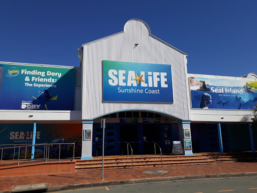SEA LIFE Sunshine Coast Aquarium