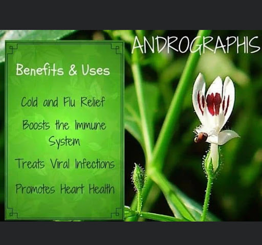 Restaurant «Health Haven Market», reviews and photos, 1381 NJ-38, Hainesport, NJ 08036, USA