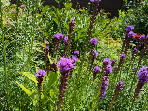 Farm «Arbor Day Farm», reviews and photos, 2611 Arbor Ave, Nebraska City, NE 68410, USA