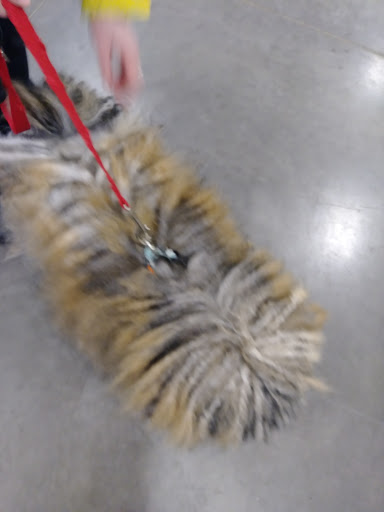 Pet Supply Store «PetSmart», reviews and photos, 8460 Tamarack Village, Woodbury, MN 55125, USA