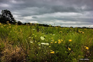 Sakonnet Greenway Trailhead - photo 6