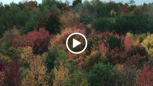 Caterer «Steele Sausage & Catering», reviews and photos, 5888 Marshall Rd, Avon, NY 14414, USA