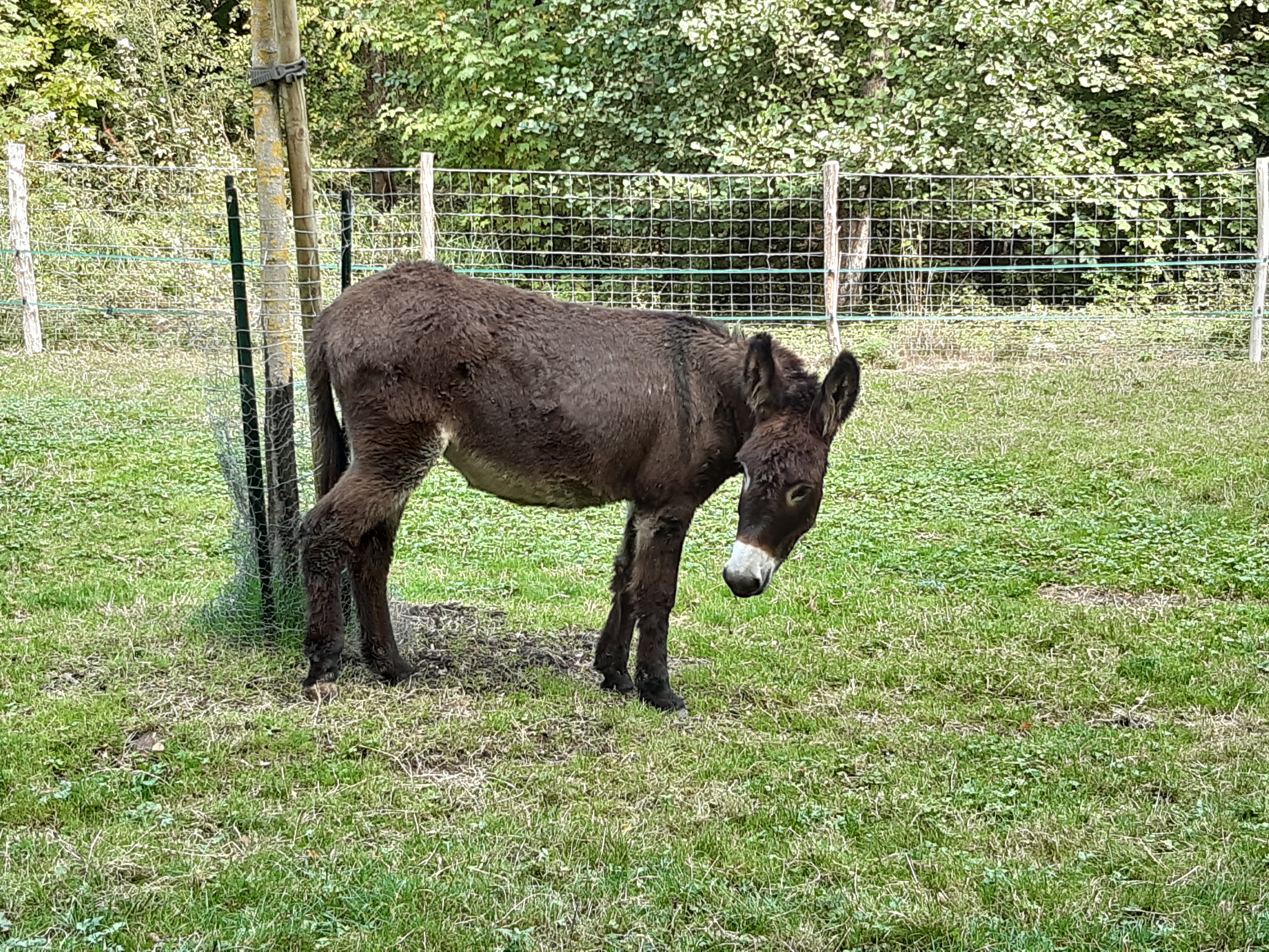 Photo n° 7 de l'avis de Hugo.e fait le 11/10/2020 à 15:38