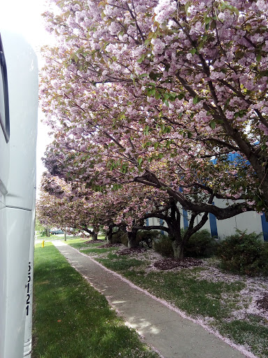 Moving Company «William B Meyer», reviews and photos, 255 Long Beach Blvd, Stratford, CT 06615, USA