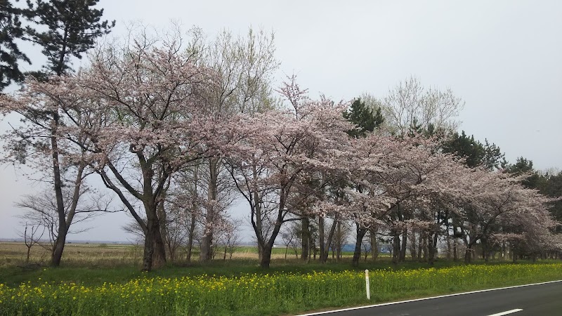 農家民宿 さくら・イン