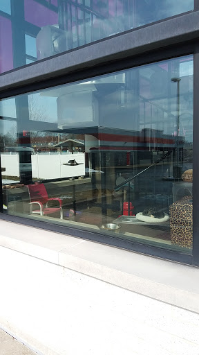 Animal Shelter «One of A Kind Pet Rescue», reviews and photos, 1929 W Market St, Akron, OH 44313, USA