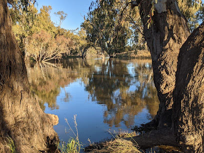 Lachlan River Campground