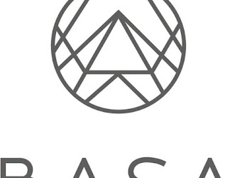 Basa Realty And Mortgage: Raul Barcena, NMLS #1297593