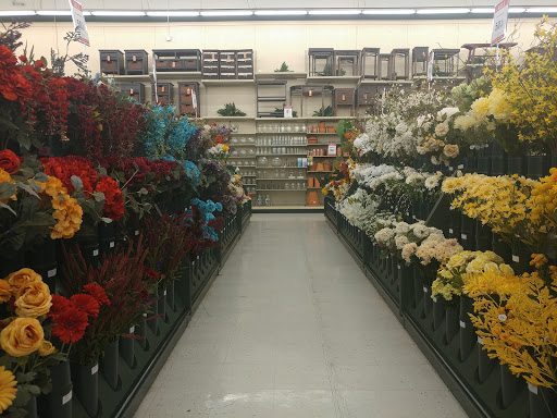 Craft Store «Hobby Lobby», reviews and photos, 4887 S Wadsworth Blvd #100, Littleton, CO 80123, USA