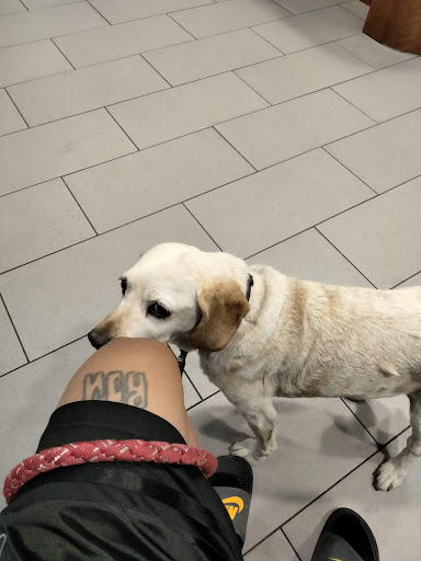 Pet Store «Katie’s PET DEPOT®», reviews and photos, 1941 Foothill Blvd, La Verne, CA 91750, USA