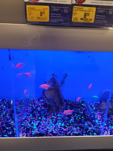 Pet Supply Store «PetSmart», reviews and photos, 98 Providence Hwy, East Walpole, MA 02032, USA