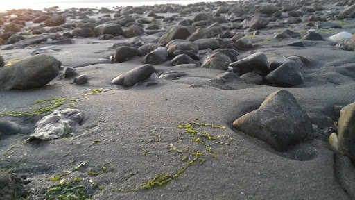 State Park «Silver Sands State Park», reviews and photos, 1 Silver Sands Park Way, Milford, CT 06460, USA