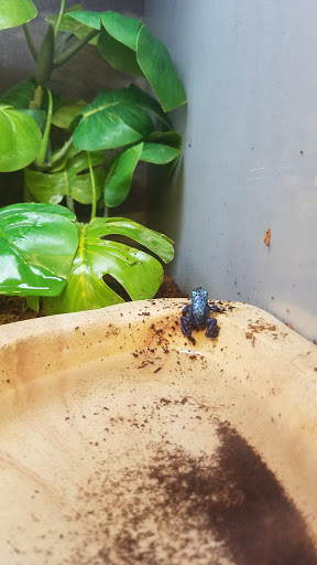 Pet Supply Store «Petco Animal Supplies», reviews and photos, 2515 Corridor Way #3, Coralville, IA 52241, USA