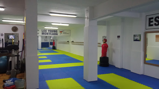Lee Young Montcada en Montcada i Reixac, Barcelona