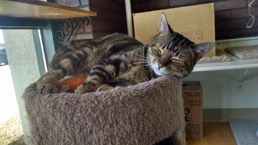 Pet Supply Store «Pet Supplies Plus», reviews and photos, 2057 S Telegraph Rd, Bloomfield Hills, MI 48302, USA