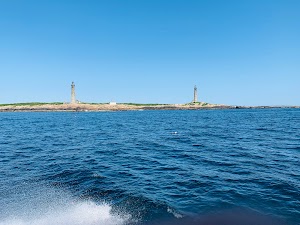 7 Seas Whale Watch - photo 16
