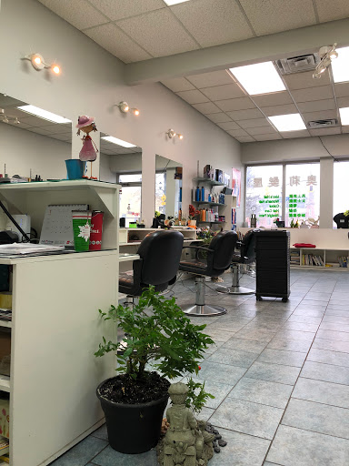 Olivia Hair Salon