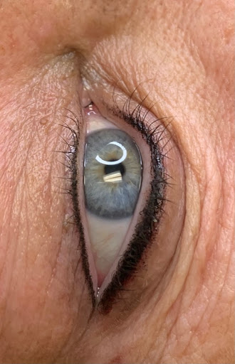 Find sakura tattoo ideas for your next unique tattoo in Grand Blanc at Pretty N Ink Permanent Cosmetic Studio