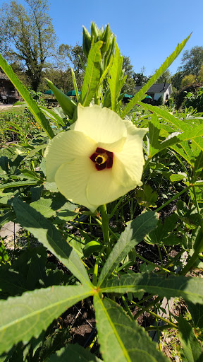 Farm «Beach Plum Farm», reviews and photos, 140 Stevens St, Cape May, NJ 08204, USA