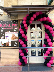 Royal Pet -Salon frizerie si cosmetica canina Piatra Neamt