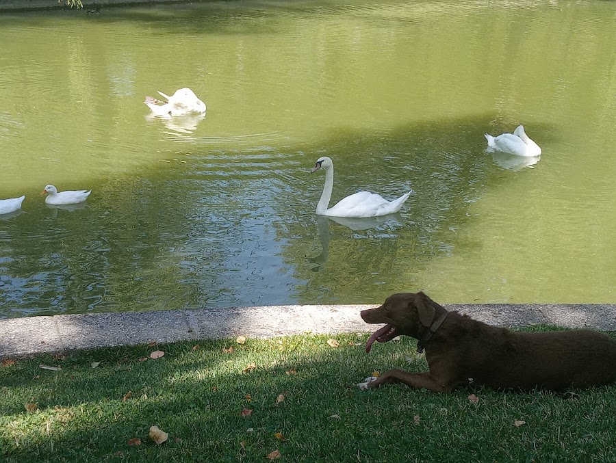 Parque Central