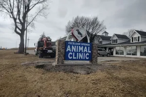 Excelsior Springs Animal Clinic image