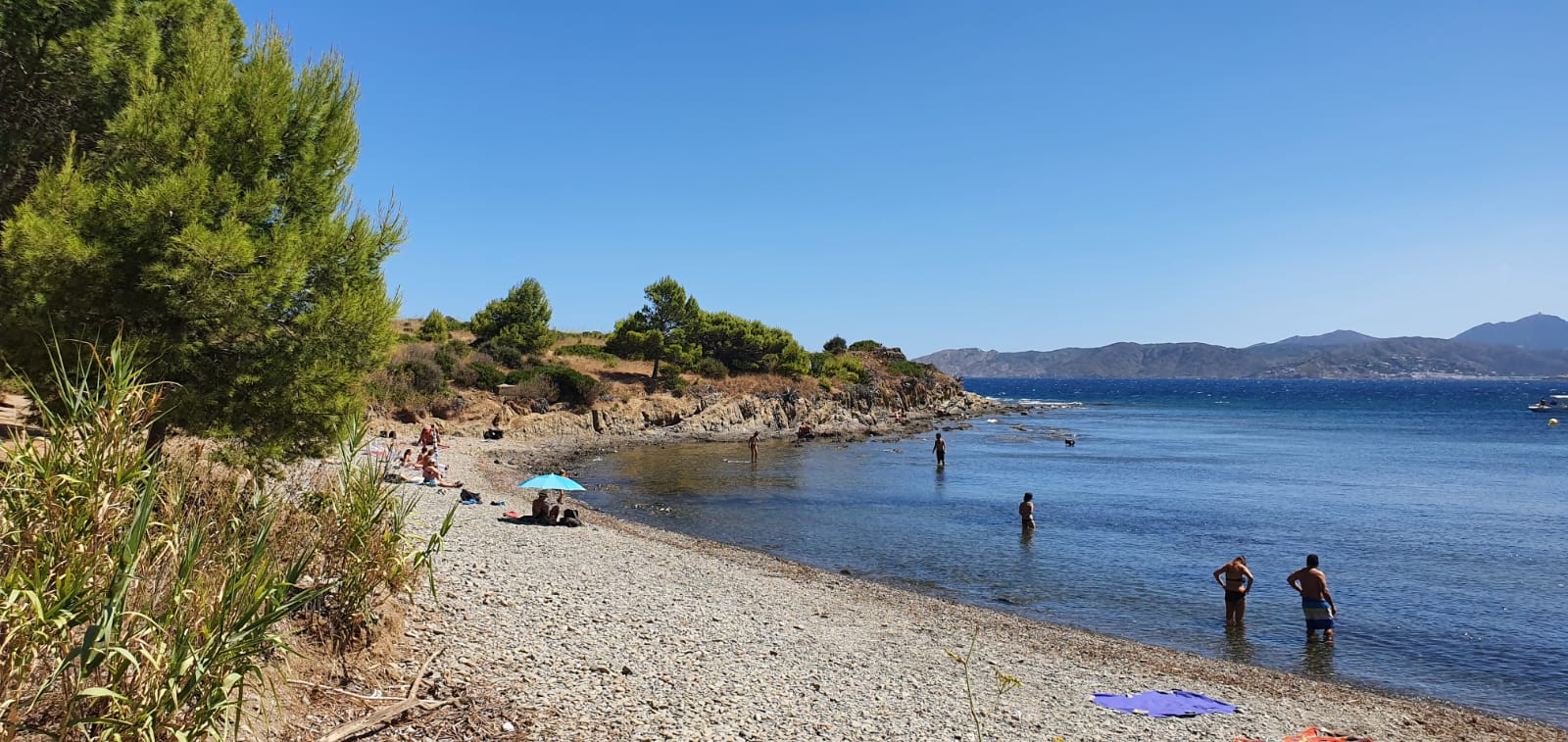 Photo de Platja el Rastell avec un niveau de propreté de très propre