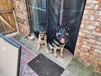 Family Fido - Photo 3 - Car repair in , Oklahoma City