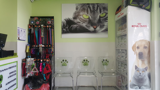 Clínica Veterinaria Guerra en Ceuta