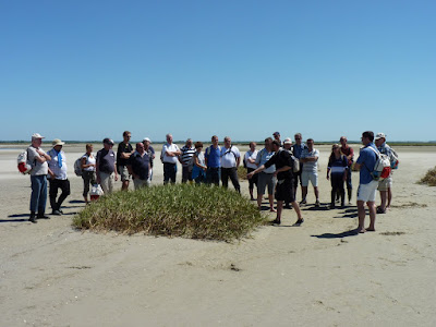 Découvrons la Baie de Somme à Le Crotoy
