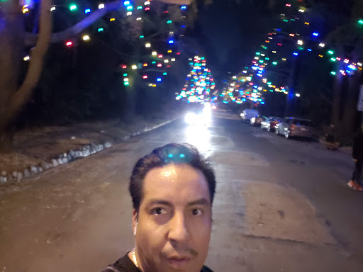 Tourist Attraction «Christmas Tree Lane», reviews and photos, Santa Rosa Ave, Altadena, CA 91001, USA