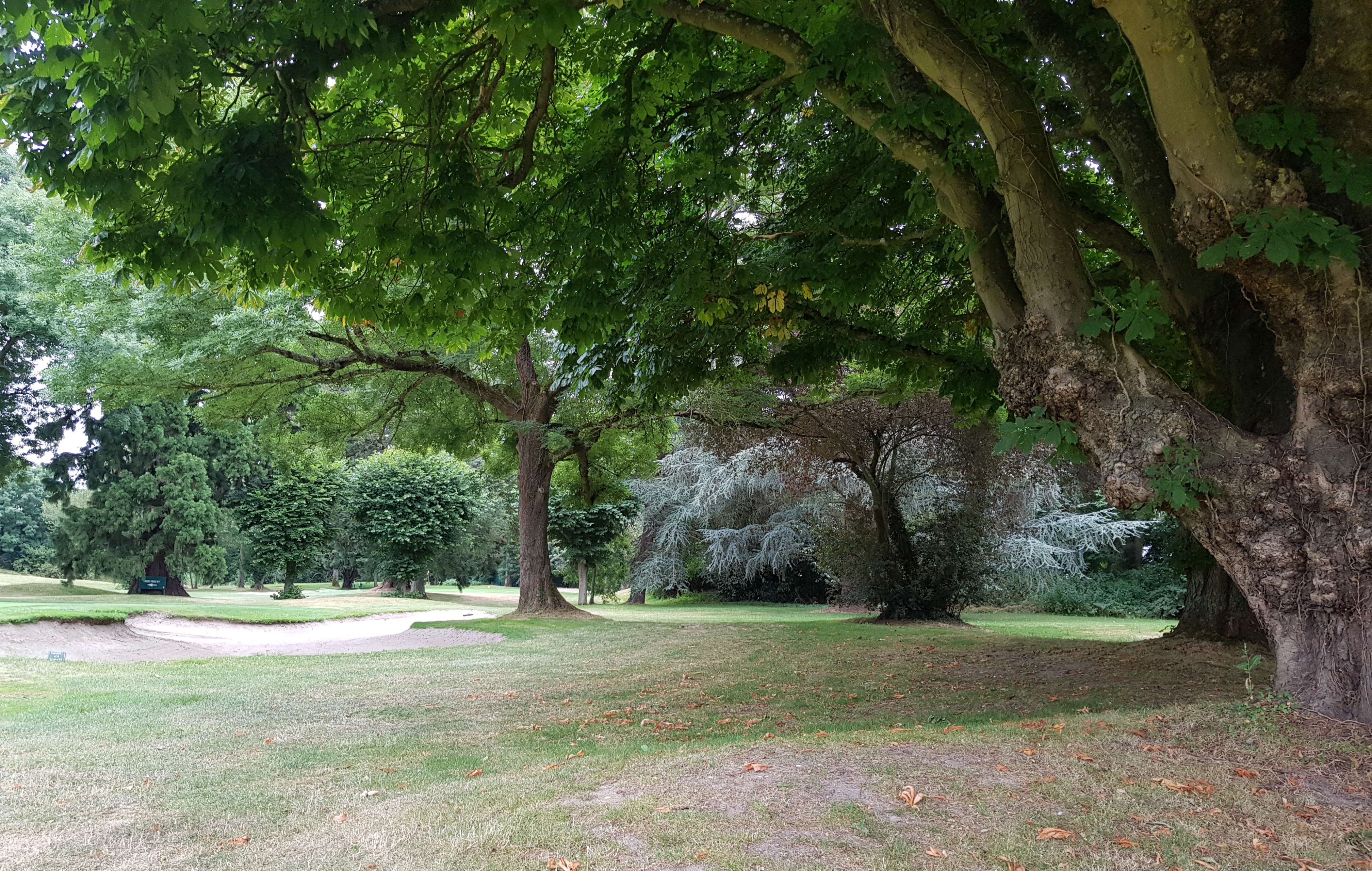 Photo n° 22 de l'avis de Lo.e fait le 19/07/2018 à 12:28