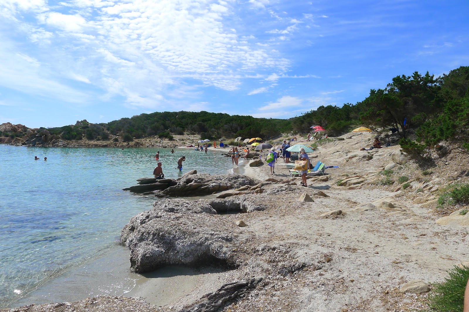 Foto de Sapling beach com meios de comunicação nível de limpeza