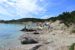 Sapling beach'in fotoğrafı vahşi alan
