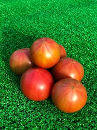 笑卓農園 直売所