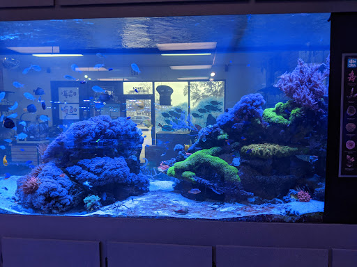 Pet Store «Aqua Hut», reviews and photos, 17424 Airline Hwy #7, Prairieville, LA 70769, USA