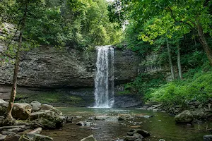 Cloudland Canyon State Park image