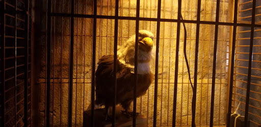 Tourist Attraction «Top Secret Attraction», reviews and photos, 2127 Wisconsin Dells Pkwy, Wisconsin Dells, WI 53965, USA