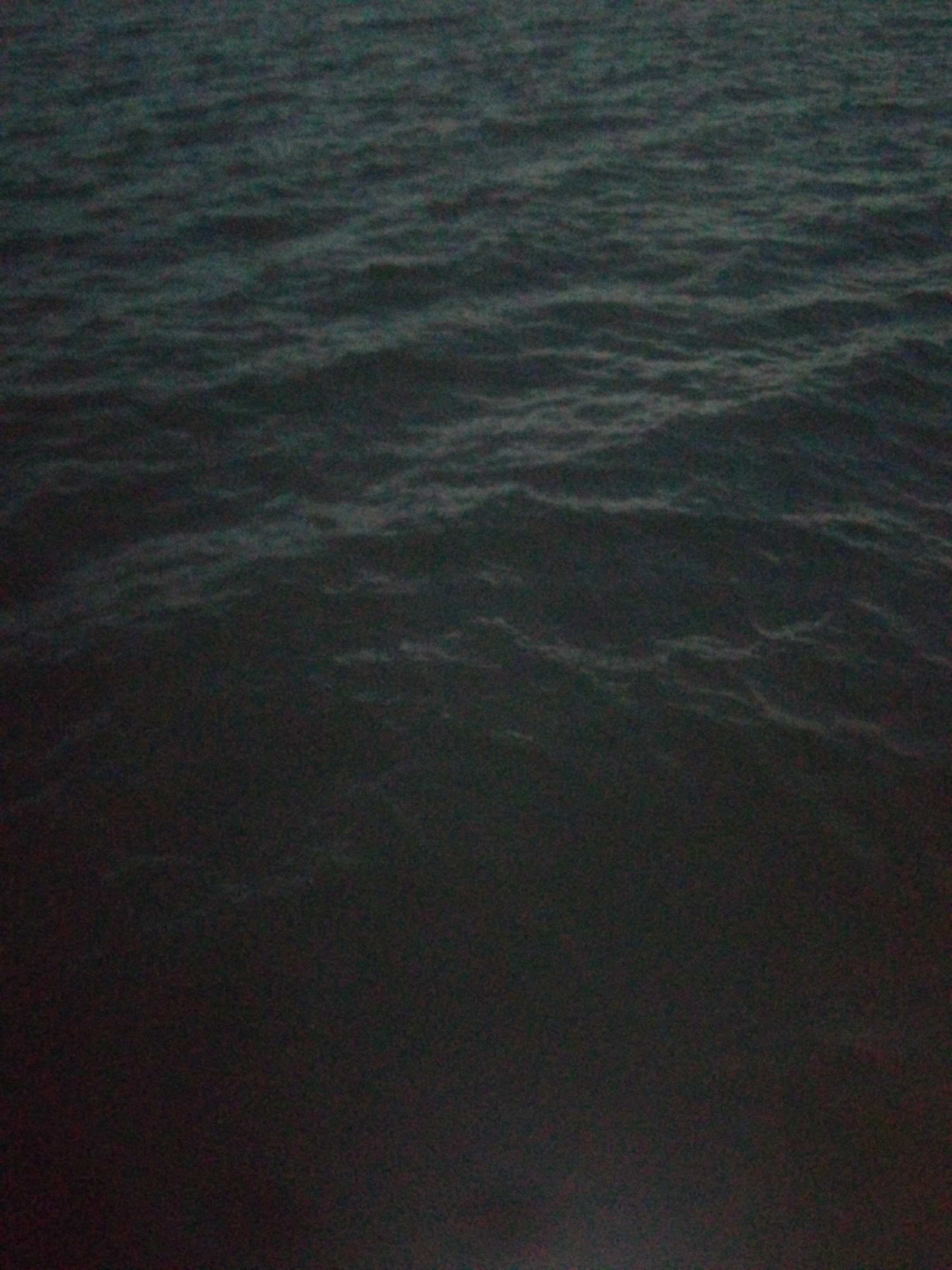 Photo n° 6 de l'avis de Naudy.e fait le 24/07/2019 à 22:34