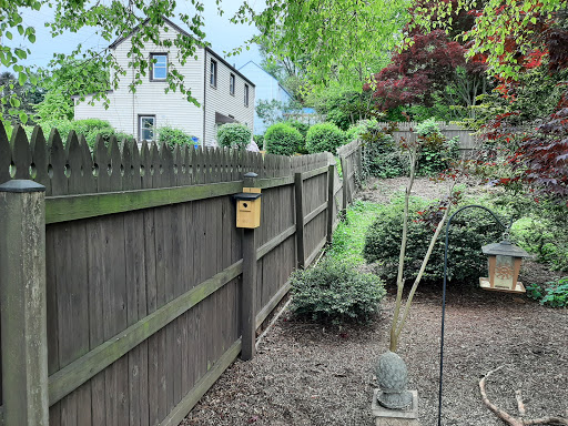 Grocery Store «Safeway», reviews and photos, 815 E Main St, Middletown, MD 21769, USA